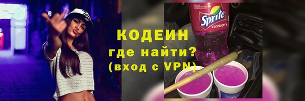 гашик Алексин